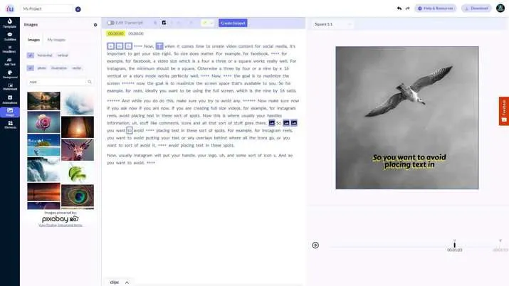 Image