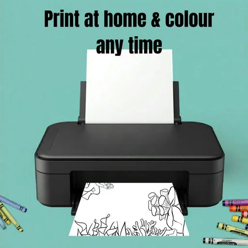 Cover image 6