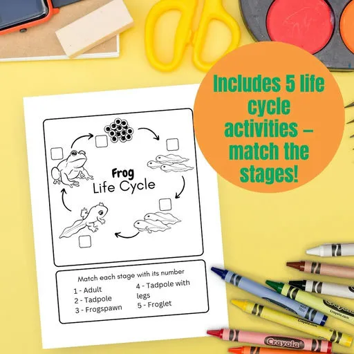 Cover image 10