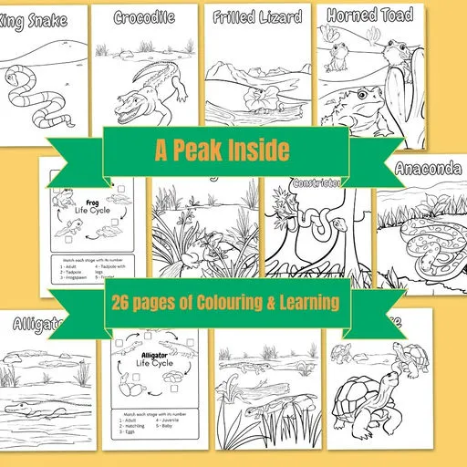 Cover image 12